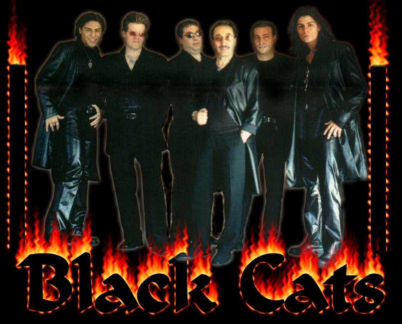 black cats